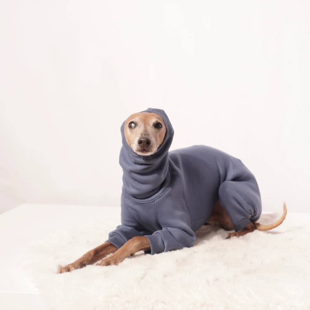 Overall "EDGAR"