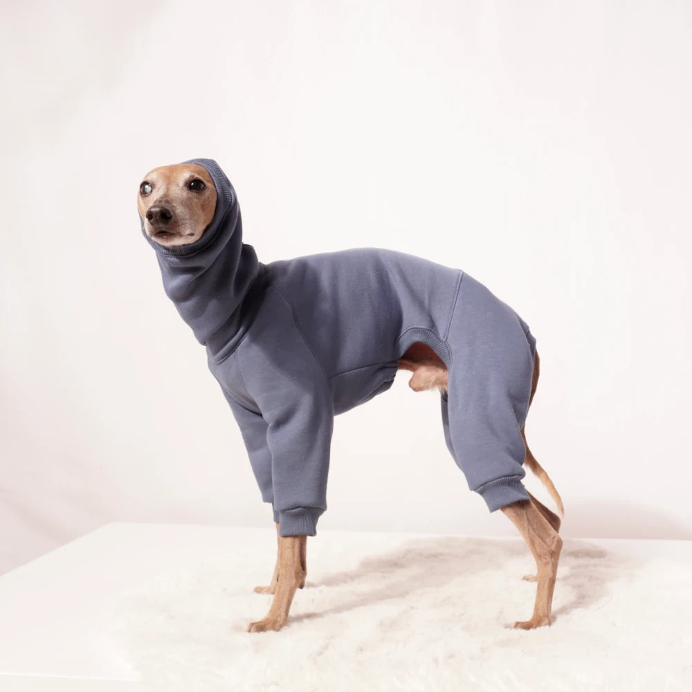 Overall "EDGAR"