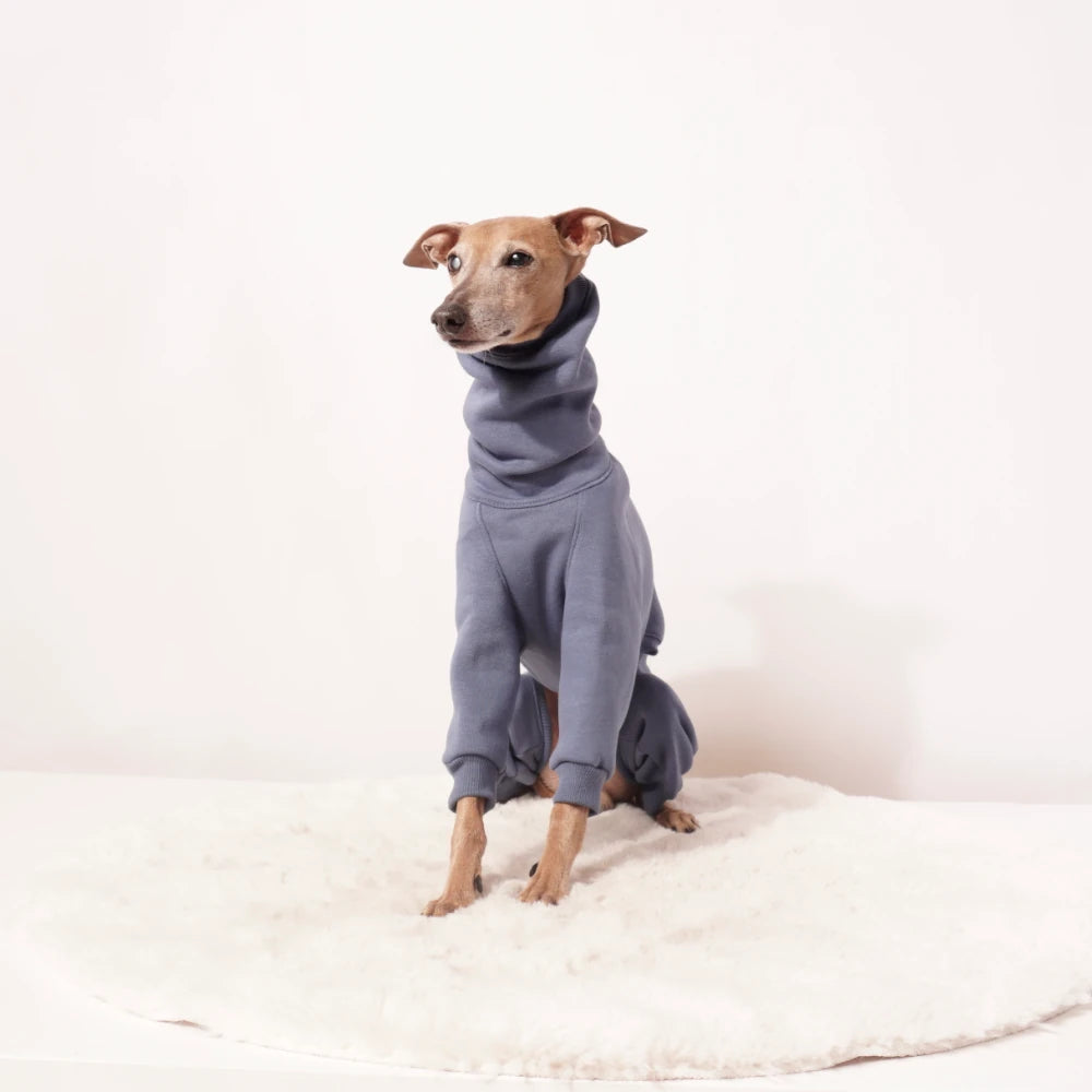 Overall "EDGAR"