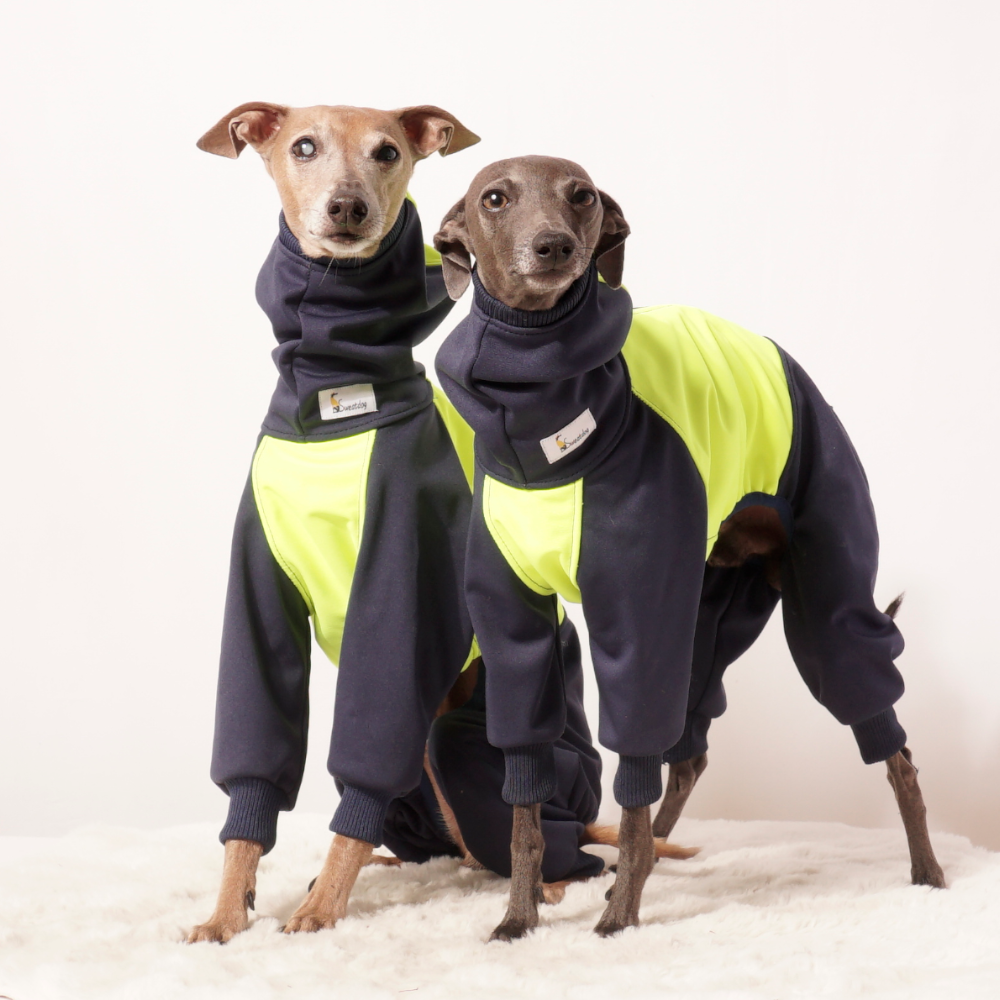 Softshell Overall "VINCENT"