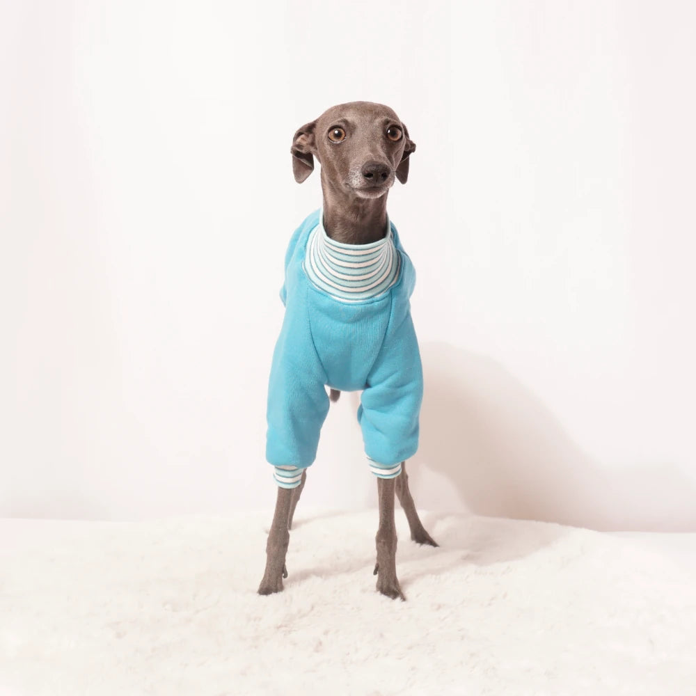 Sweatshirt "ARIK"