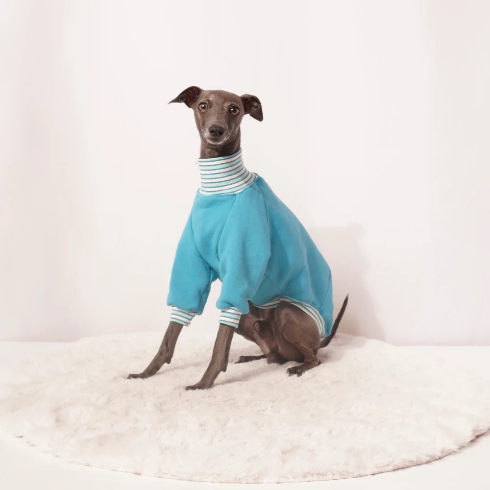 Sweatshirt "ARIK"