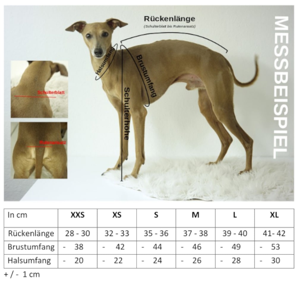 Strickanleitung Pullover "HUGO" PDF