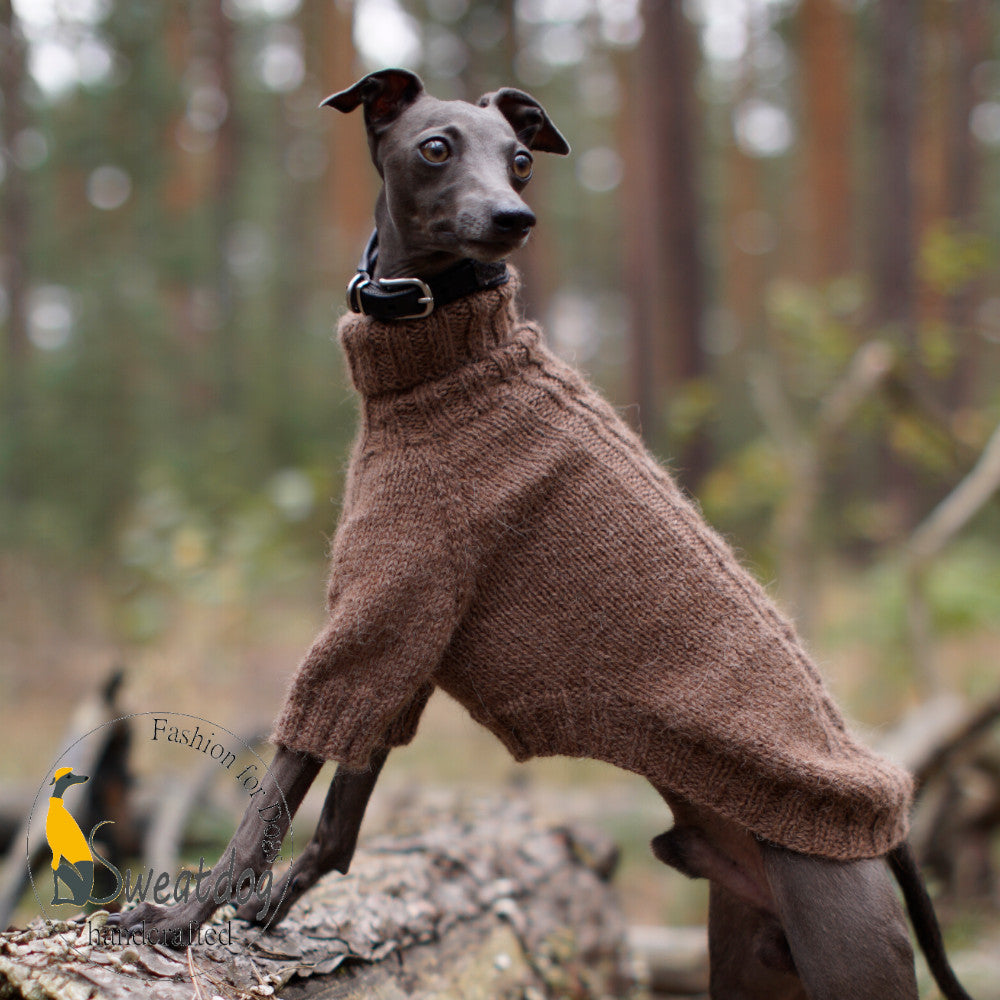 Strickanleitung Pullover "HUGO" PDF