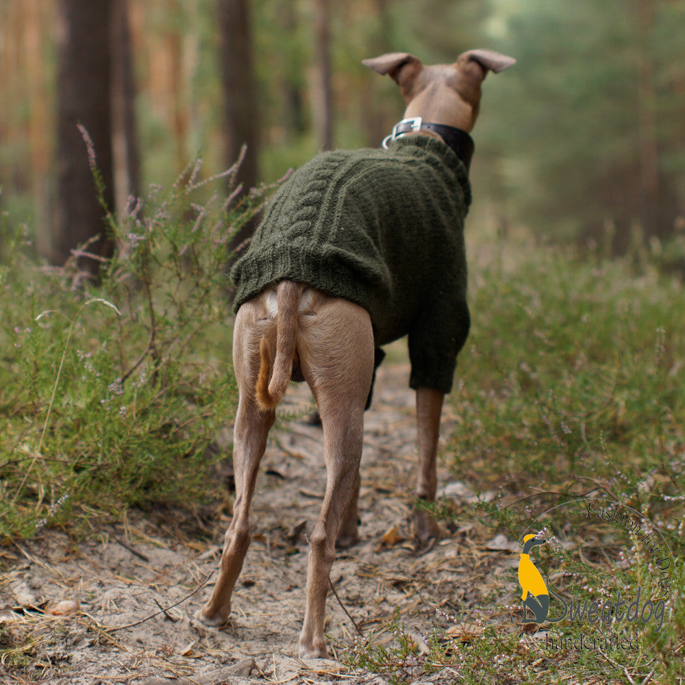 Strickanleitung Pullover "HUGO" PDF