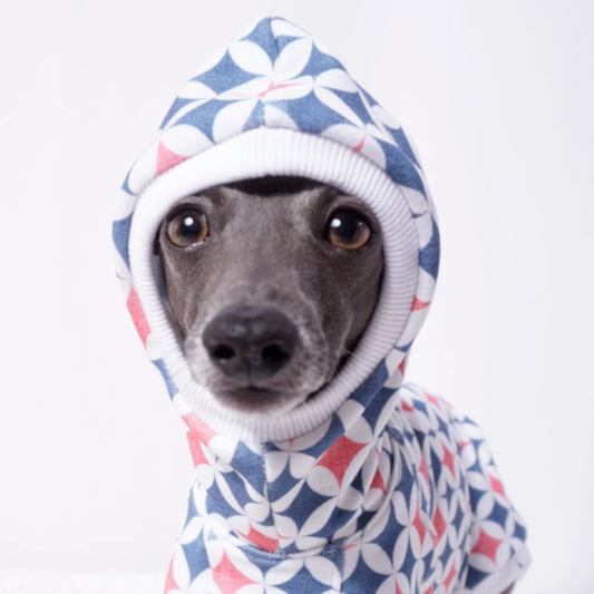 Groovy Windspiel – Retro-Hoodie