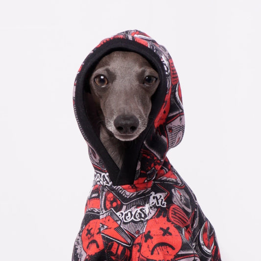 Hoodie "GRAFFITI"