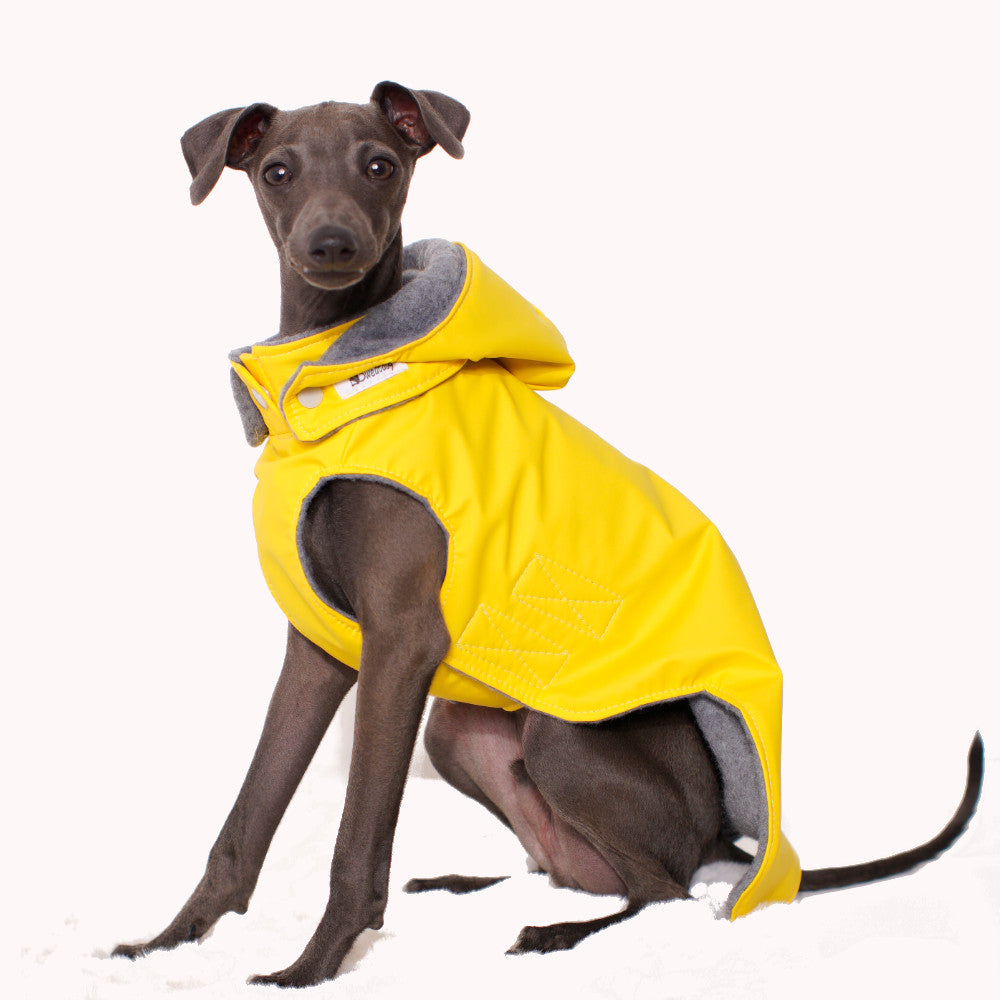 Regenjacke "FRIESE"