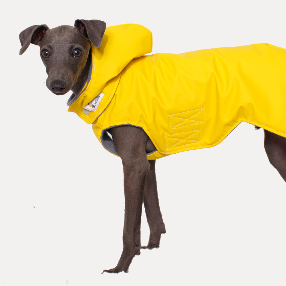 Regenjacke "FRIESE"