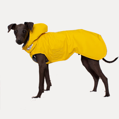 Regenjacke "FRIESE"