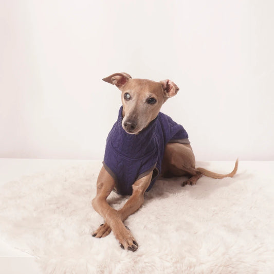 Shirt "REMO"