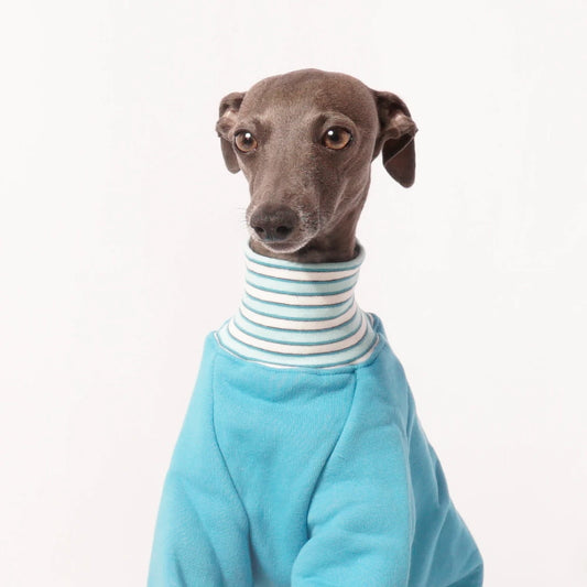 Sweatshirt "ARIK"