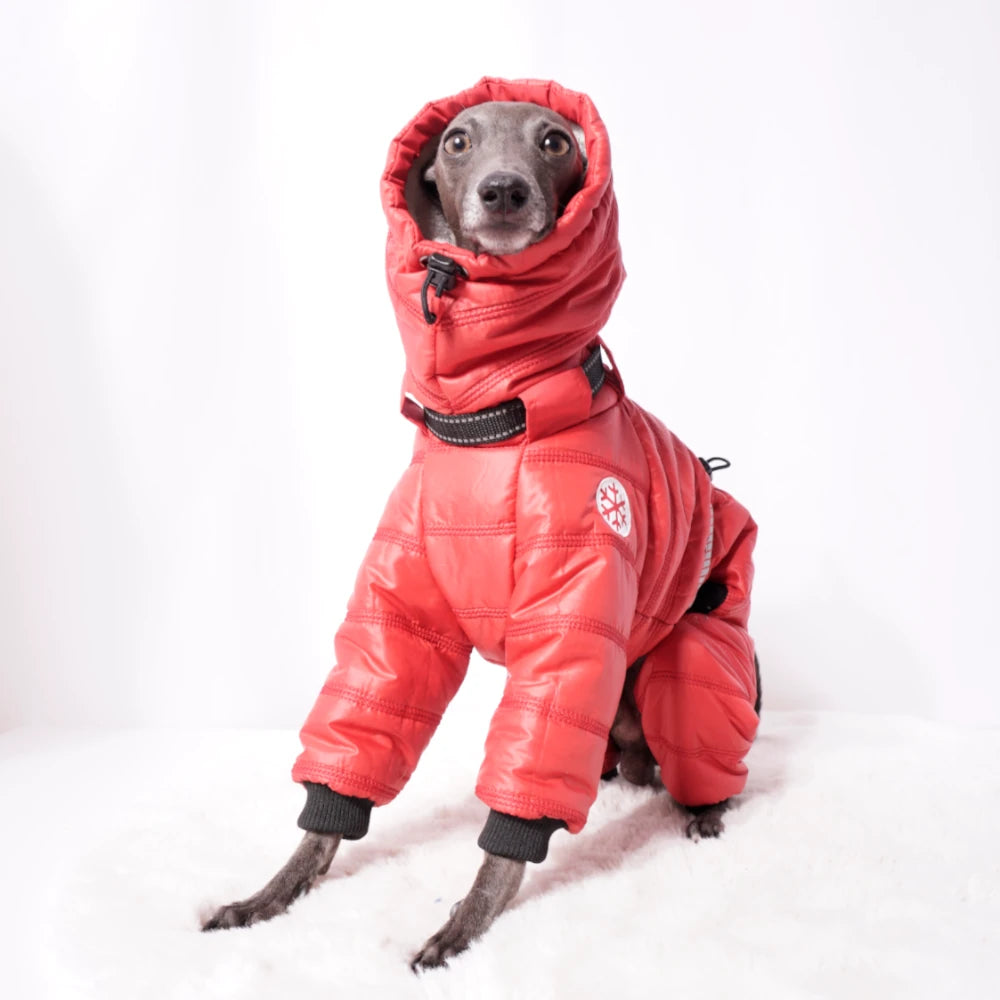 Cozy Cloud Wintersuit