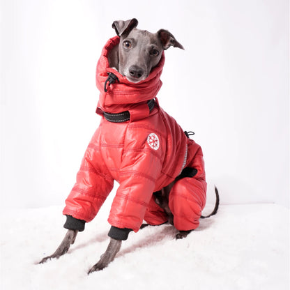 Cozy Cloud Wintersuit