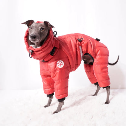 Cozy Cloud Wintersuit