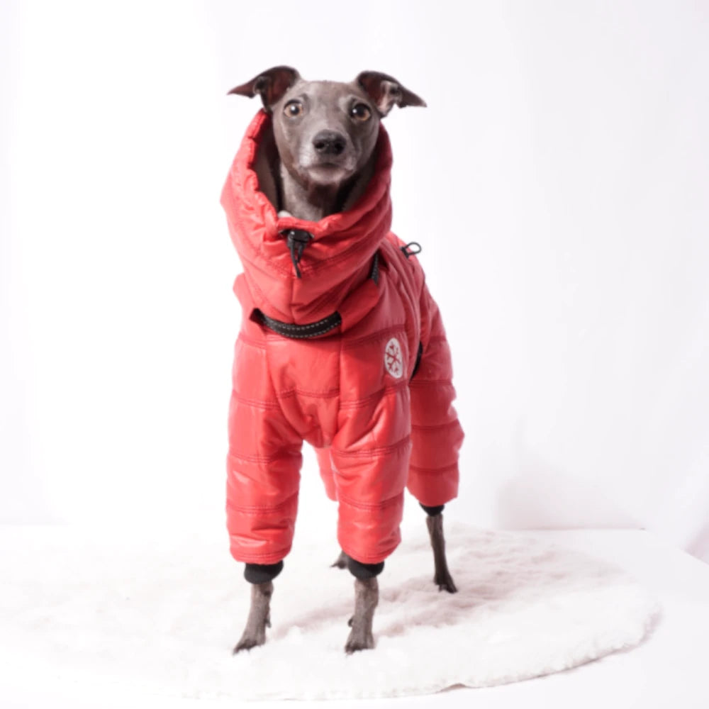 Cozy Cloud Wintersuit