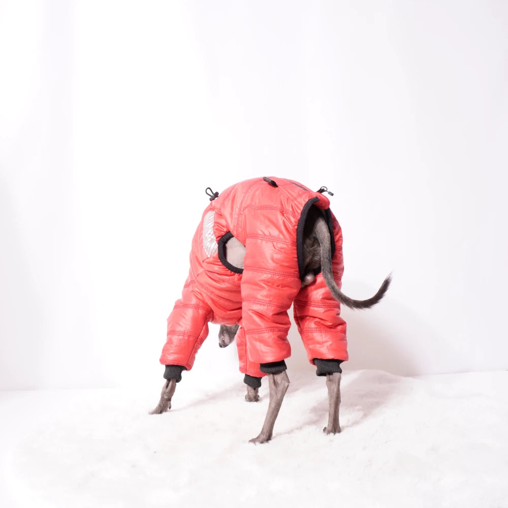 Cozy Cloud Wintersuit