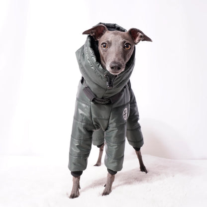 Cozy Cloud Wintersuit grün