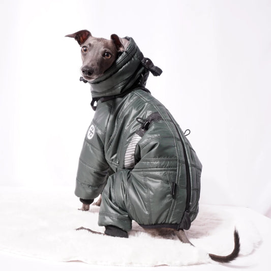 Cozy Cloud Wintersuit grün