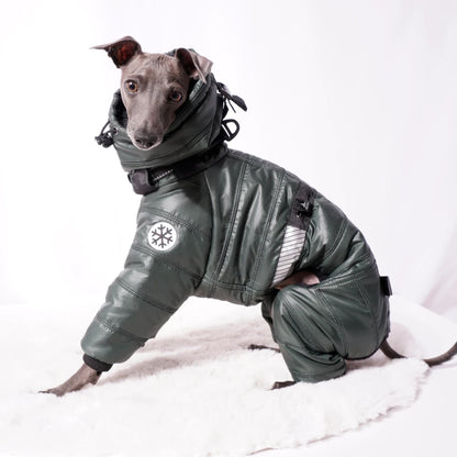 Cozy Cloud Wintersuit grün