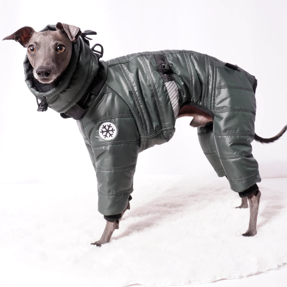 Cozy Cloud Wintersuit grün