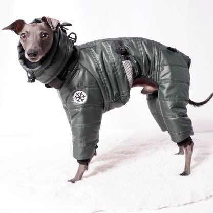 Cozy Cloud Wintersuit grün