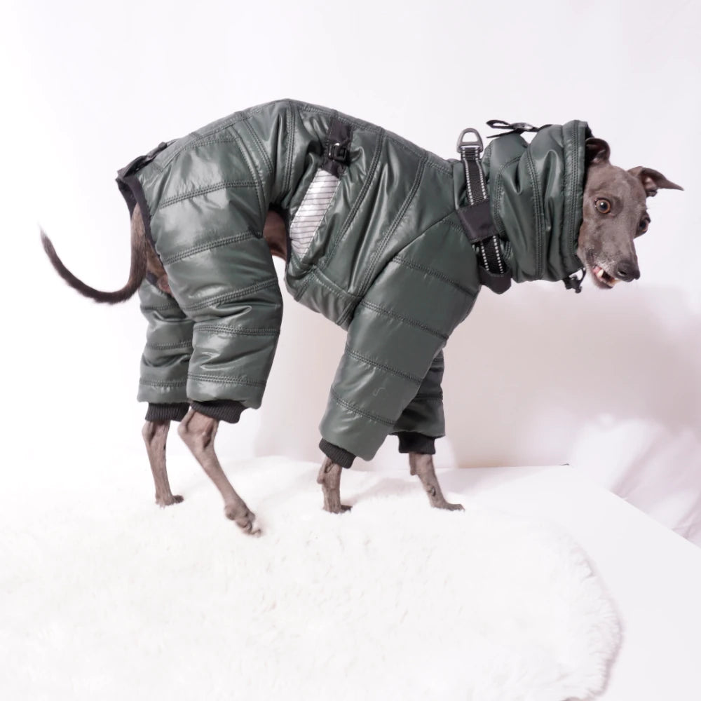 Cozy Cloud Wintersuit grün