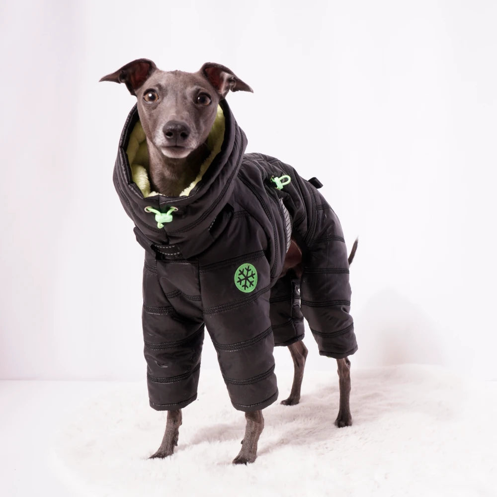 Cozy Cloud Wintersuit II