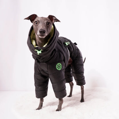 Cozy Cloud Wintersuit II