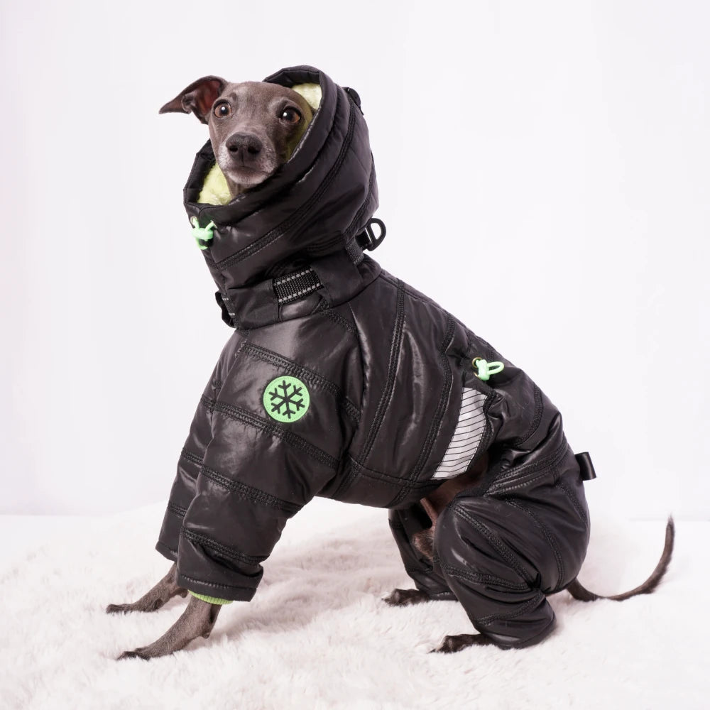 Cozy Cloud Wintersuit II