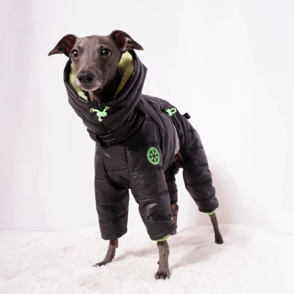 Cozy Cloud Wintersuit II