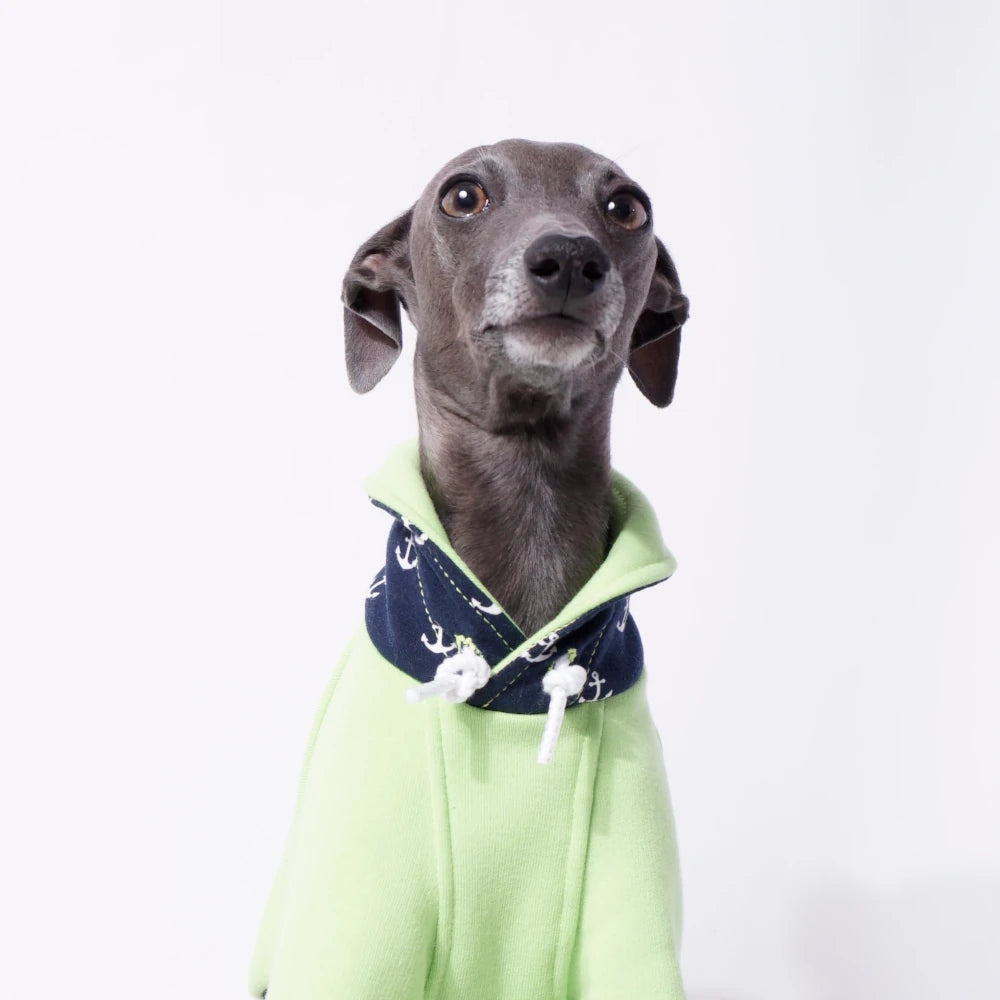 Iggy Yacht Club – Maritim-Sweater