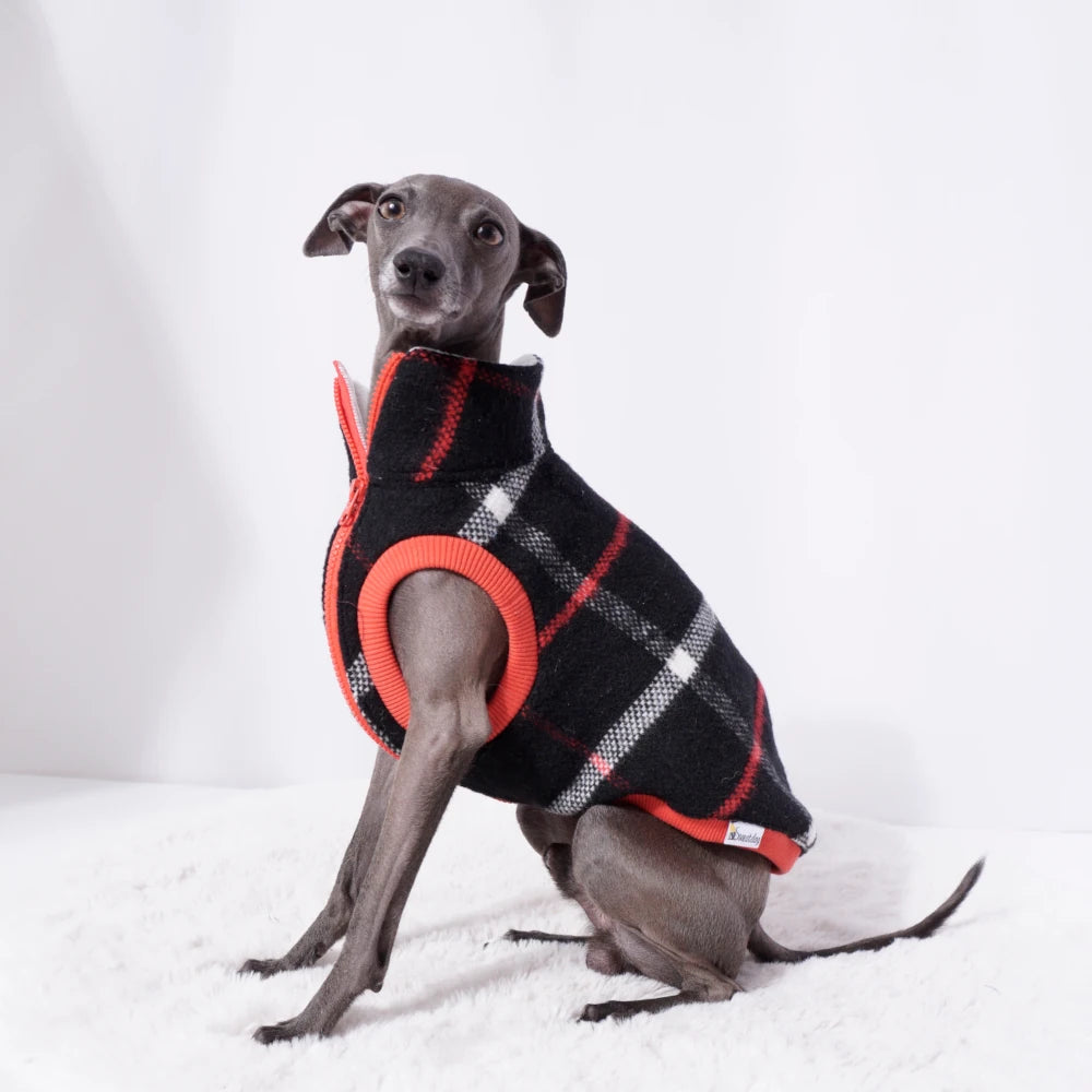 "The Tartan King"