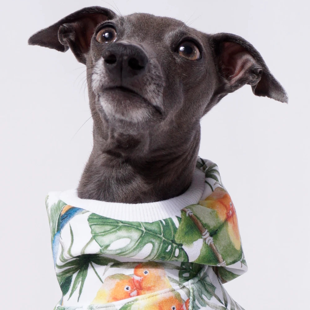 Palm Jungle Sweater