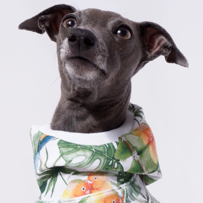 Palm Jungle Sweater