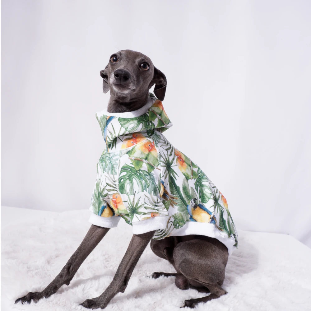 Palm Jungle Sweater