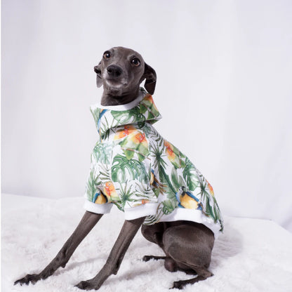 Palm Jungle Sweater