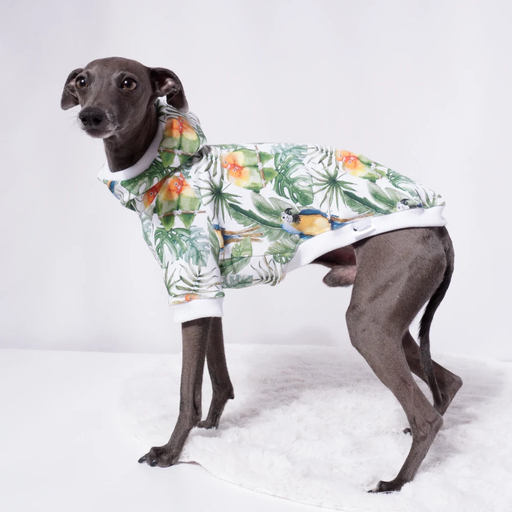 Palm Jungle Sweater