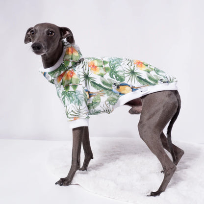Palm Jungle Sweater