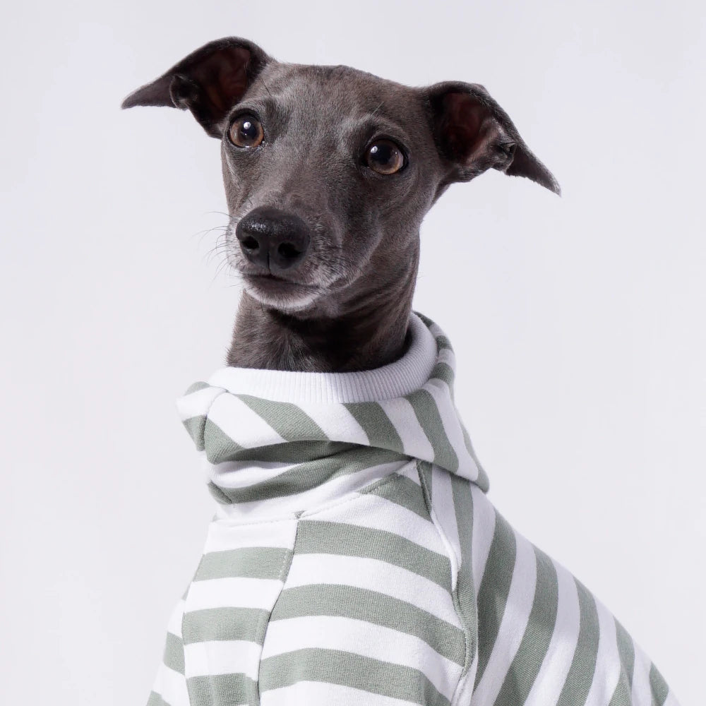Sage Stripe Sweater