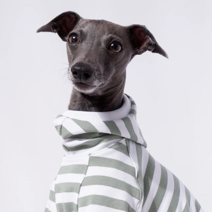 Sage Stripe Sweater