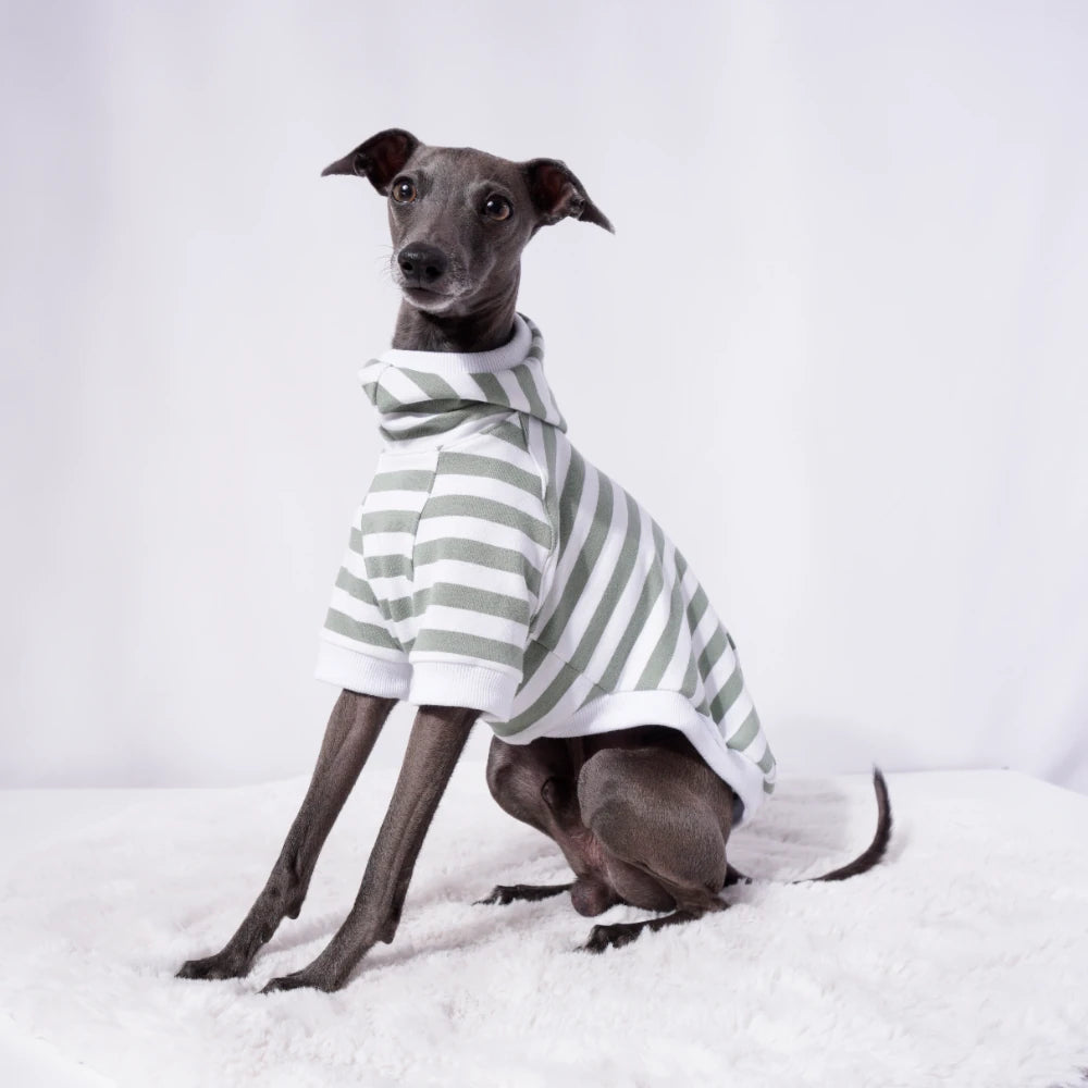 Sage Stripe Sweater