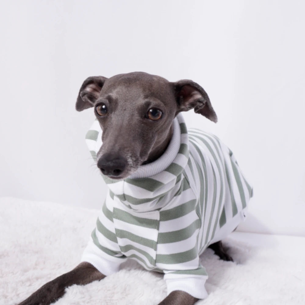 Sage Stripe Sweater