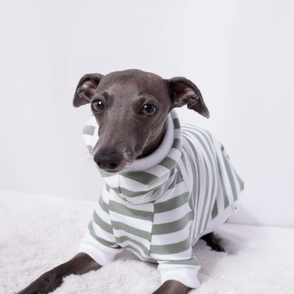 Sage Stripe Sweater