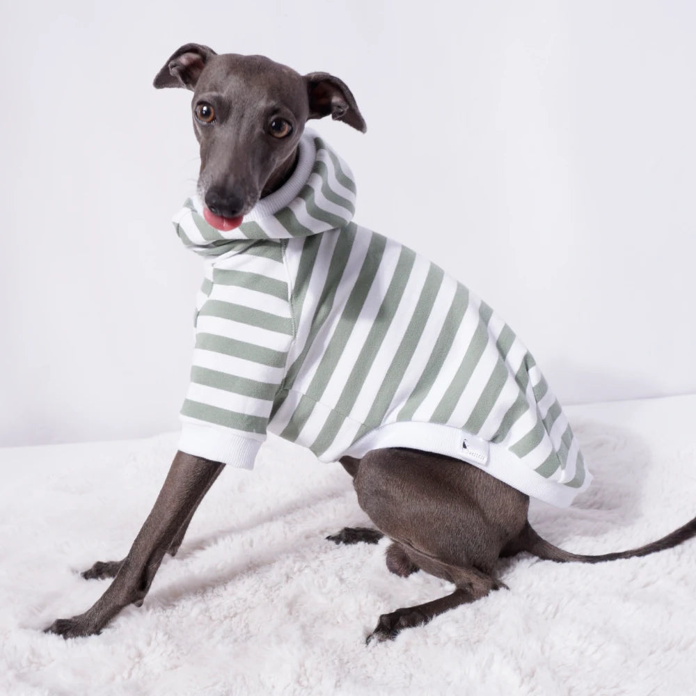 Sage Stripe Sweater