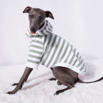 Sage Stripe Sweater