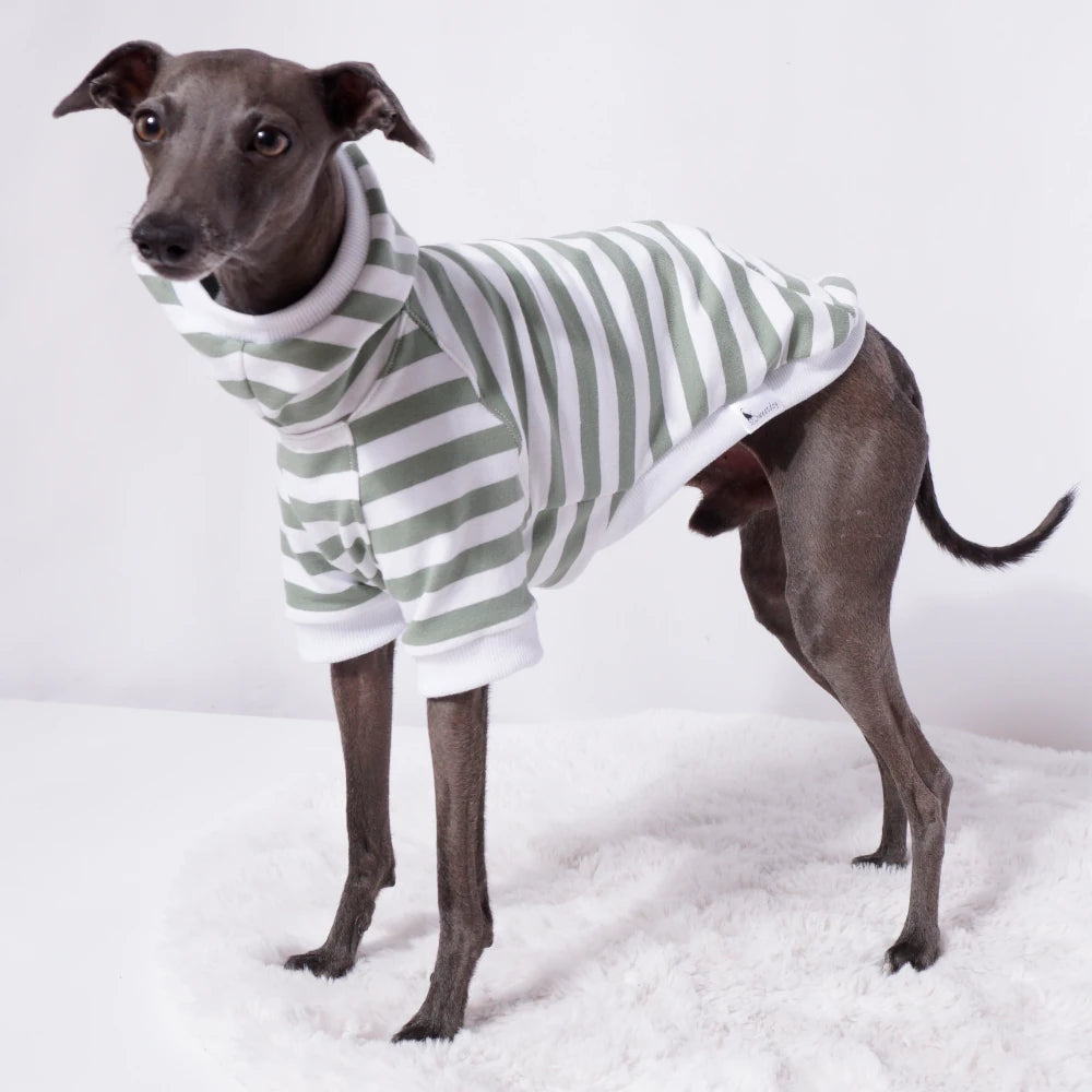 Sage Stripe Sweater