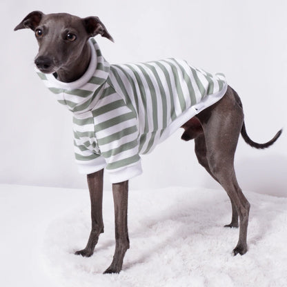 Sage Stripe Sweater