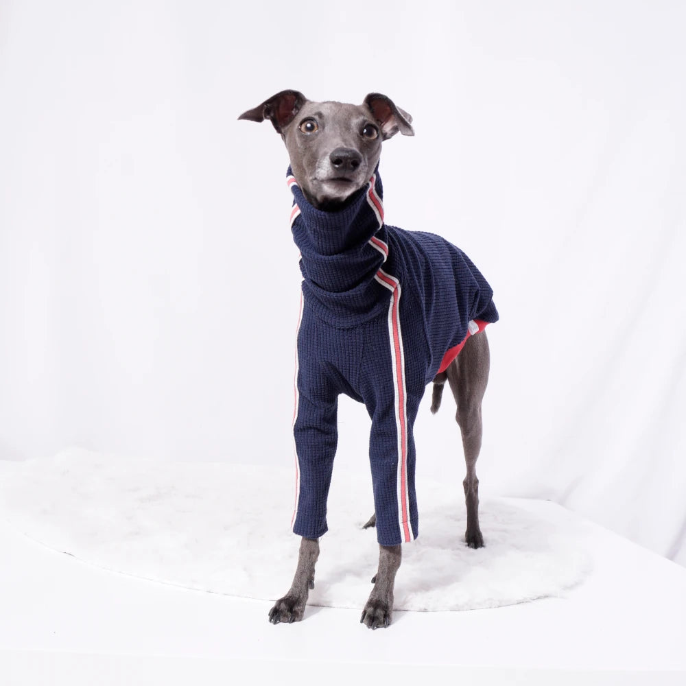 Sweater  "Sporty Stripe Knit"