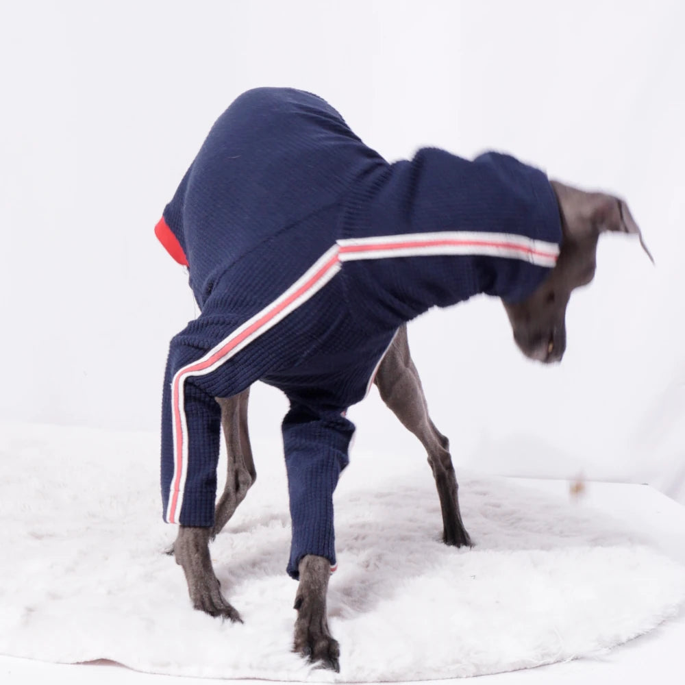 Sweater  "Sporty Stripe Knit"